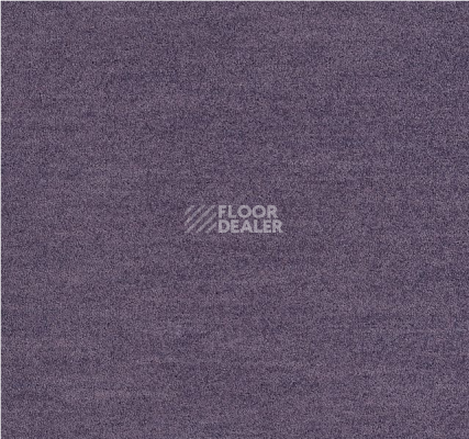 Ковровая плитка Interface Polichrome Solid 4266020 Viola фото 1 | FLOORDEALER